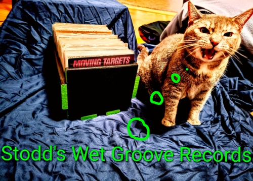 cat meowing next to box of records