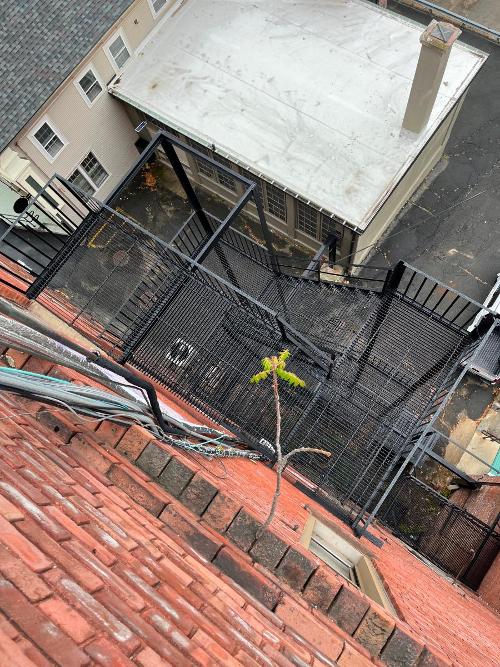 Wires Coming Up to the Roof